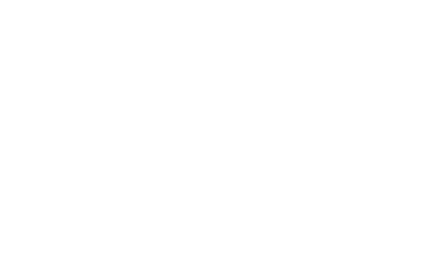 U.S. FRY LEVOLUTION フライドポテトをさらに美味しくさらに楽しく